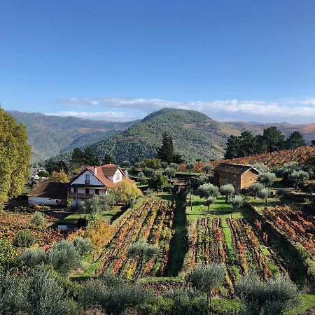 Quinta Vila Rachel - Winery Sao Mamede de Ribatua Esterno foto