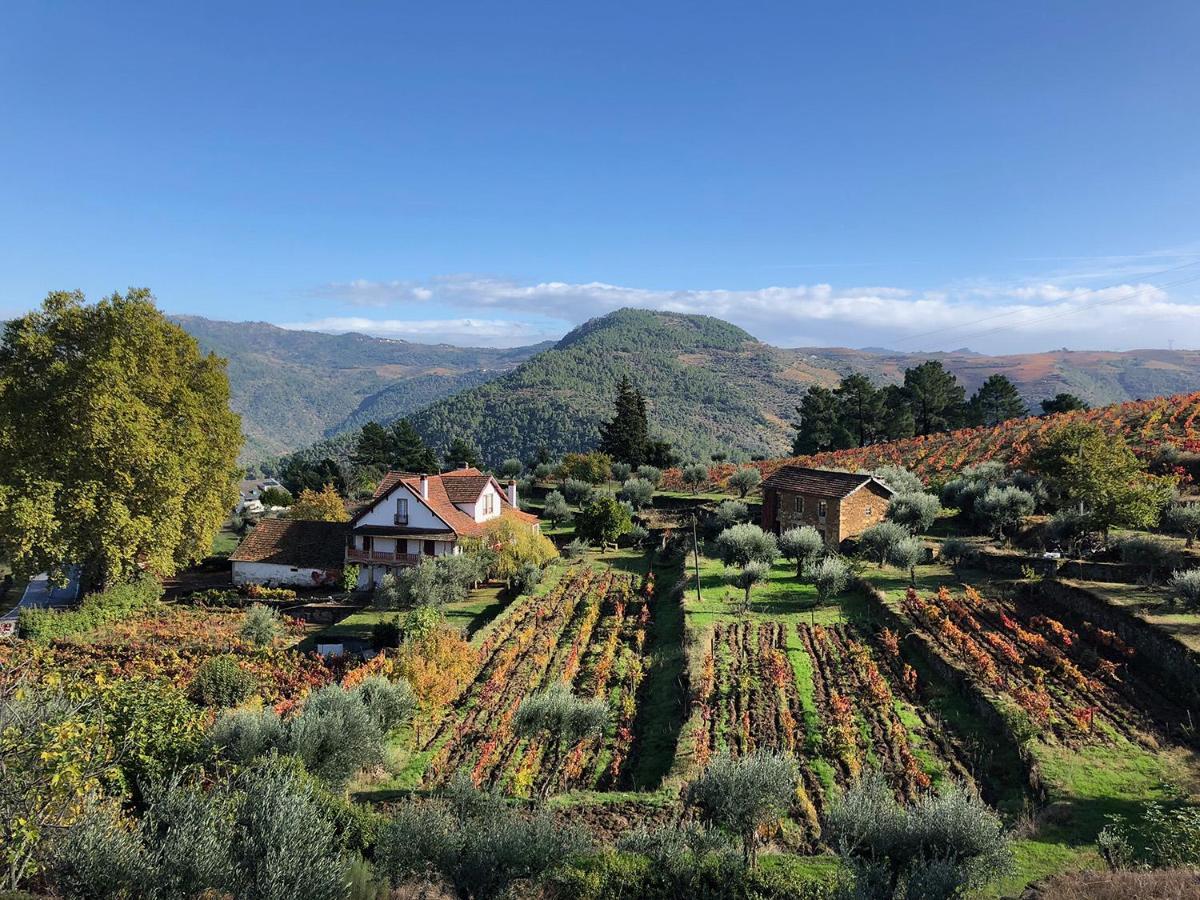 Quinta Vila Rachel - Winery Sao Mamede de Ribatua Esterno foto