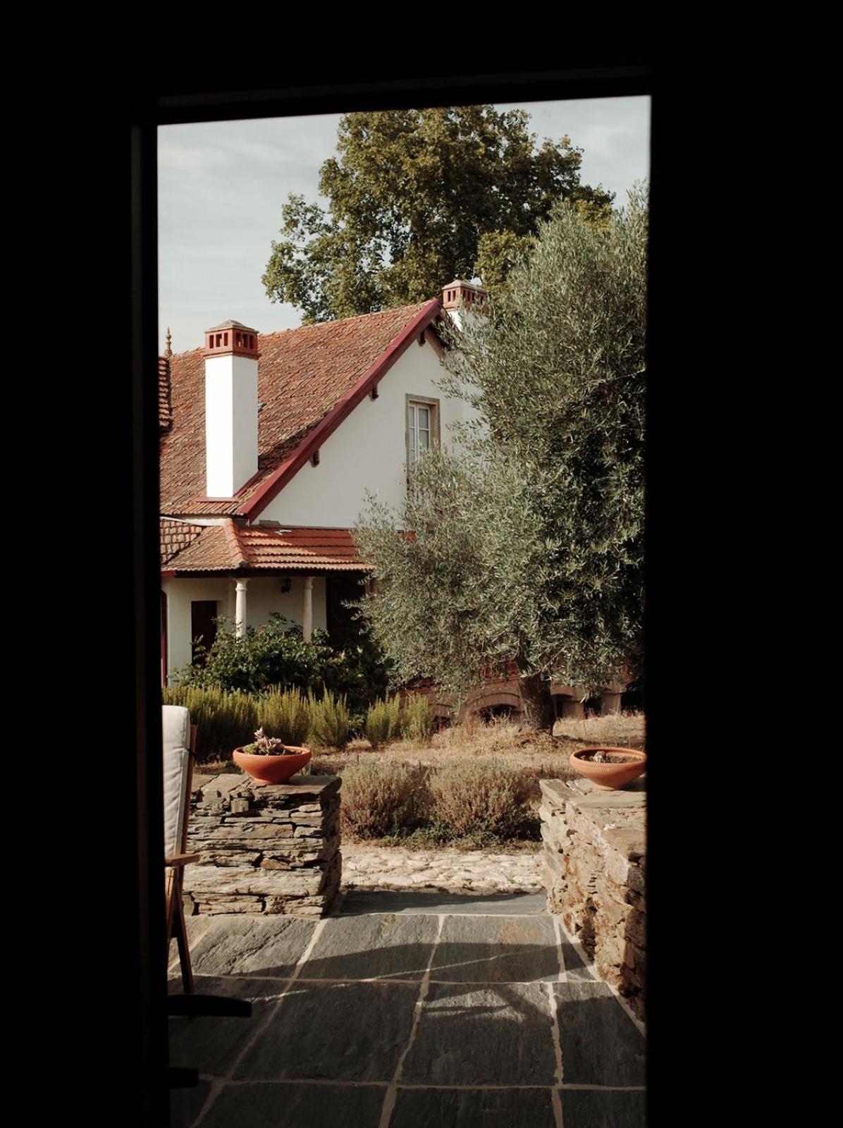 Quinta Vila Rachel - Winery Sao Mamede de Ribatua Esterno foto